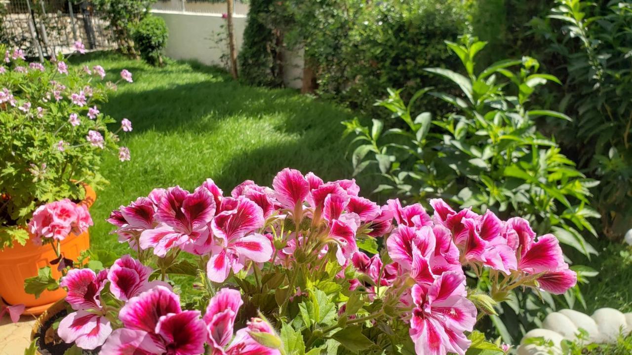Vila Renato Ksamil Dış mekan fotoğraf