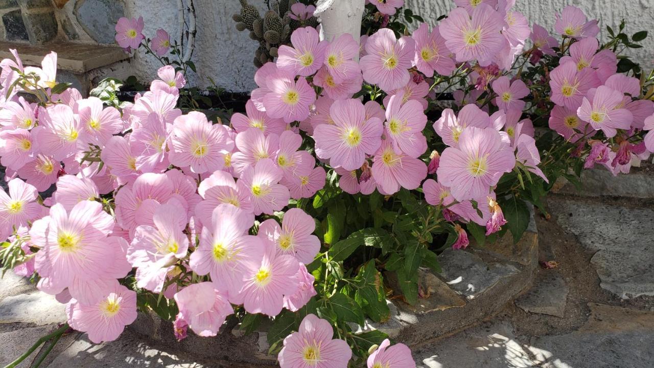 Vila Renato Ksamil Dış mekan fotoğraf